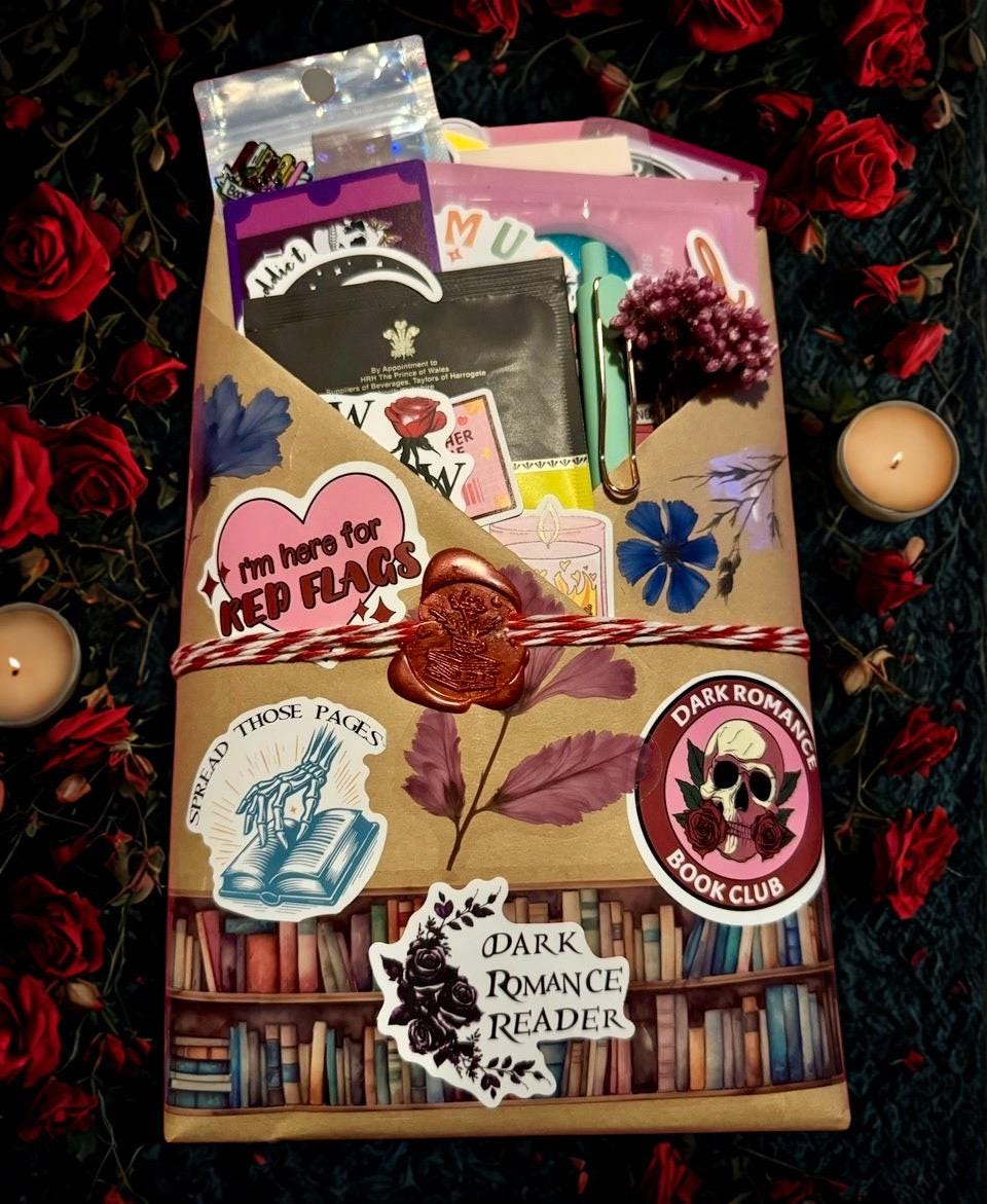 Dark Romance Blind Date With a Book | Morally Gray Mystery, Enemies to Lovers Gift
