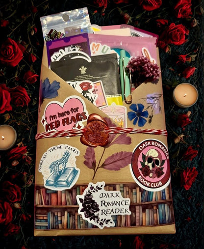 Dark Romance Blind Date With a Book | Morally Gray Mystery, Enemies to Lovers Gift